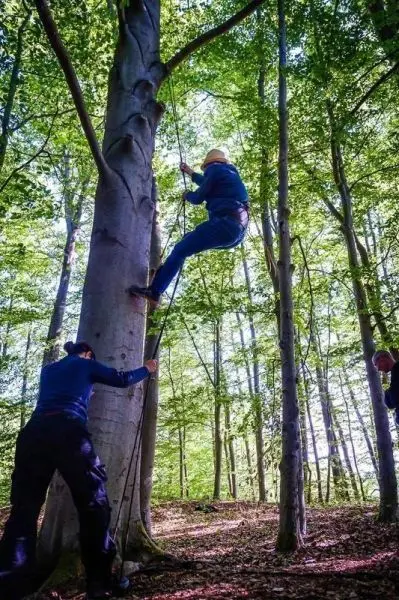 Person klettert mit Seil an einem Baum hoch, während eine andere Person unterstützt